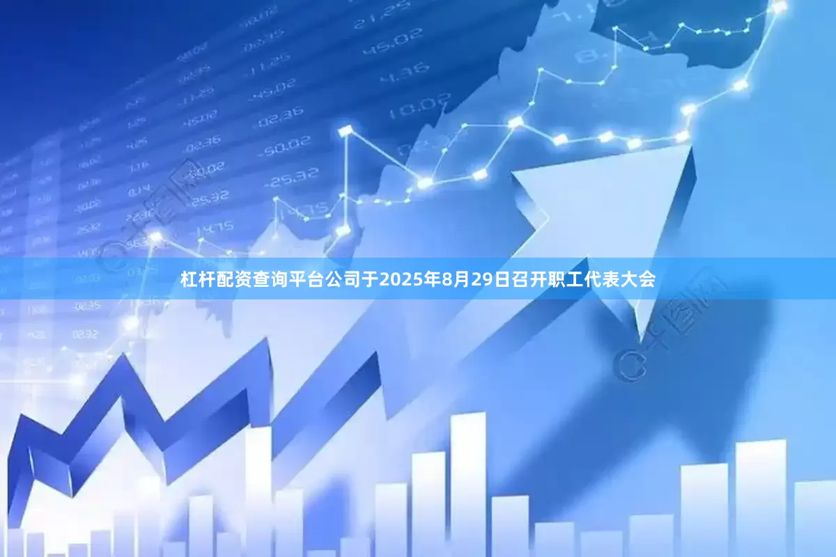 杠杆配资查询平台公司于2025年8月29日召开职工代表大会